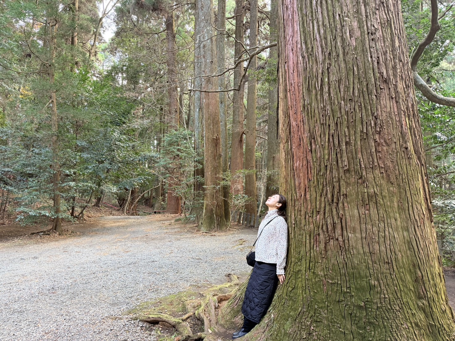 Mahalo 主催者イメージ 4