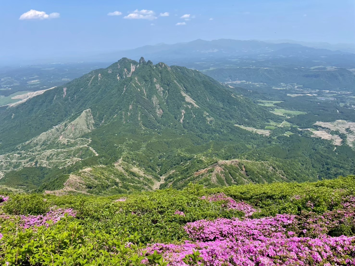 Mahalo 主催者イメージ 6